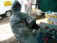 Artigo aborda coronavírus em aves migratórias 