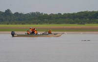 Botos e tucuxis são monitorados enquanto estratégias de intervenção são traçadas