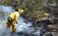Brigadistas combatem incêndio no Boqueirão da Onça