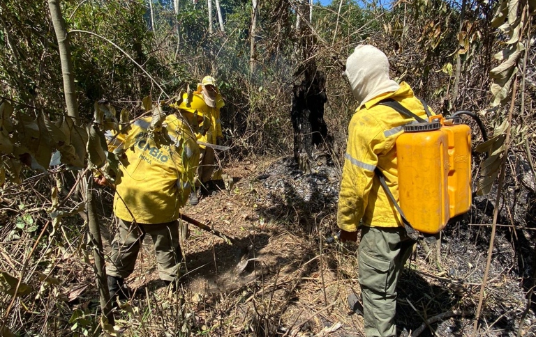 Incêndios atingem o Parque Nacional do Viruá, Estação Ecológica Niquiá e Floresta Nacional de Roraima
