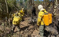 Brigadistas combatem incêndios em unidades de conservação em Roraima