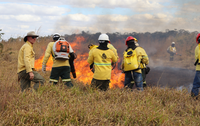 Brigadistas do Instituto Brasília Ambiental são selecionados em cursos aplicados por instrutores do ICMBio e Ibama