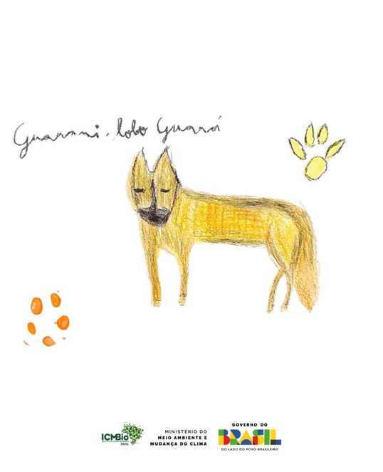 Os desenhos podem ser vistos no Instagram do Instituto - Imagem: Divulgação/ICMBio 