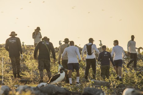 Foto: Jessyca Teixeira/ICMBio Abrolhos