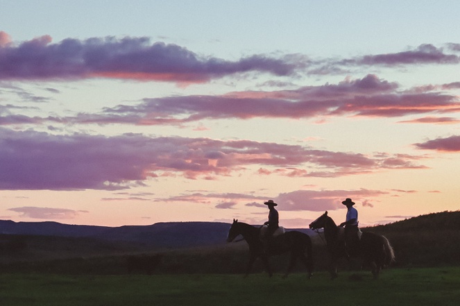 No fim do dia, o movimento lento dos cavalos acompanha o ritmo do Pampa: um bioma de paisagens abertas, onde a cultura do campo e a conservação da natureza caminham lado a lado - Foto: Daniel Gobbi