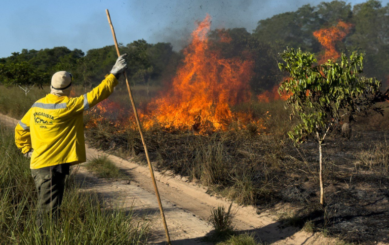 SITEBrigada Voluntaria_Leonardo Milano.png