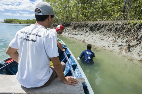 Foto: Priscila Forone