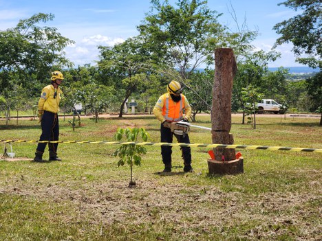 Foto: Ramilla Rodrigues/ICMBio