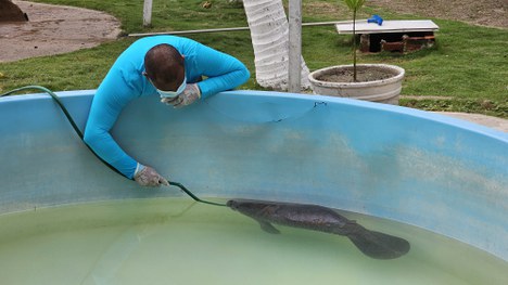 Foto: Geylson Paiva/ICMBio