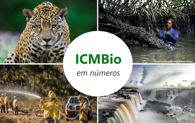 SITE ICMBIO EM NUMEROS.jpg