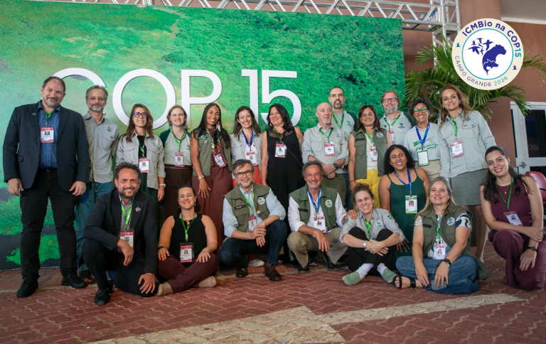 Conferência registra número inédito de inclusões de espécies nos Apêndices I e II da CMS, entre elas, o surubim-pintado, maçarico-de-bico-torto, maçarico-de-perna-amarela, caboclinho-do-pantanal e ariranha