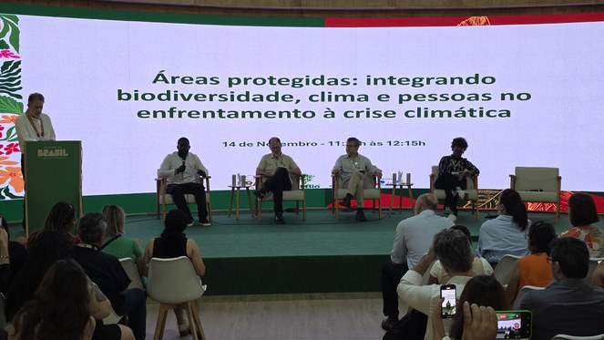 Na sexta-feira (14), o ICMBio promoveu um painel sobre Áreas Protegidas na COP30 -  Foto: Geylson Paiva/ICMBio