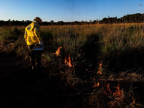 Foto: Leonardo Milano