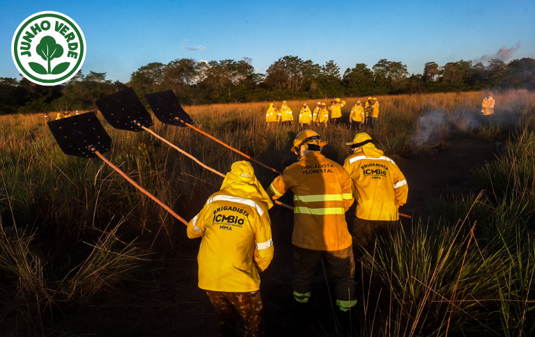 SITE - Leonardo Milano.png