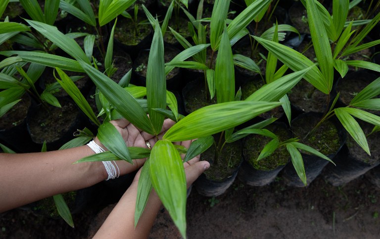 USAID Brasil_Bruno Kelly - SITE.jpg