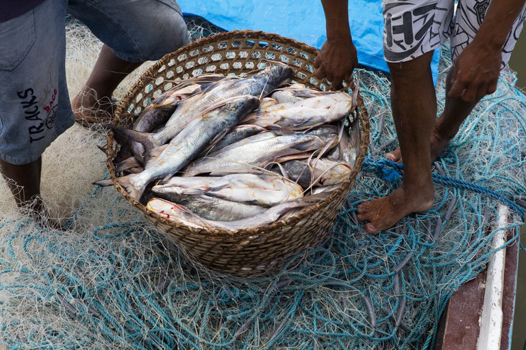 mocambique.jpg