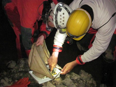 Foto: Rodrigo Ferreira