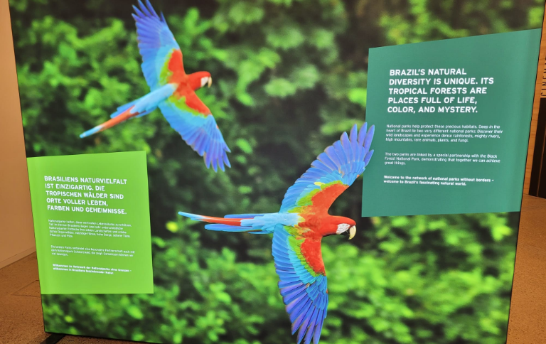 SITEDesenhos de crianças de parques nacionais brasileiros integram exposição na Alemanha.png