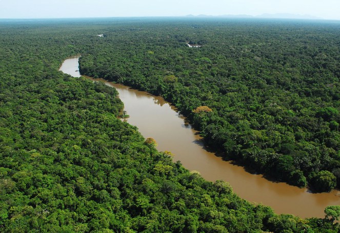Vista aérea Parna Viruá, na Amazônia. O bioma teve queda de 11,08% no desmatamento no último período, resultado de ações integradas de fiscalização e monitoramento ambiental - Foto: Antonio Laccovazo