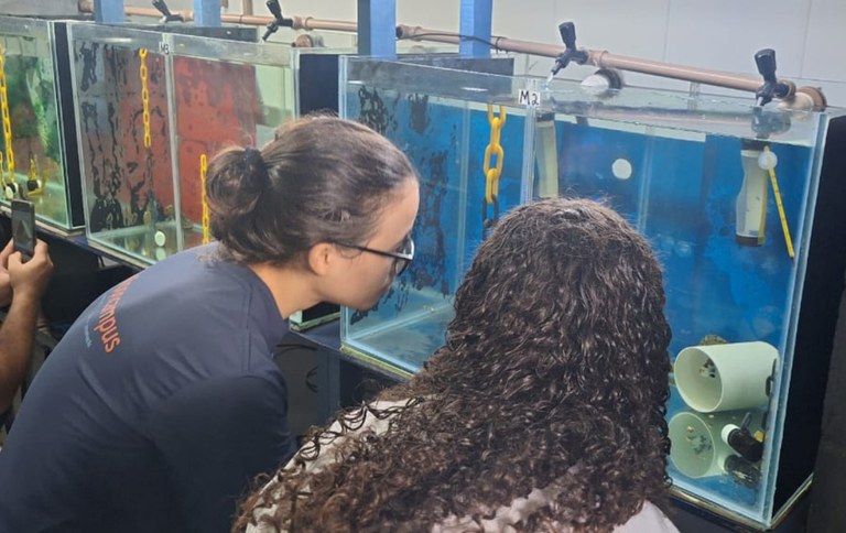 Design sem nome (10).jpg