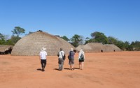 Expedição em Terra Indígena Xingu contribui com estudo de primatas ameaçados