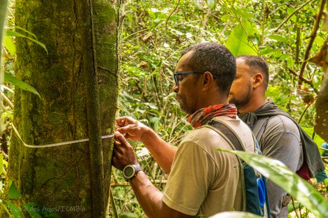 Técnicos avaliam desenvolvimento da biomassa - Foto: Jessica dos Anjos/ICMBio
