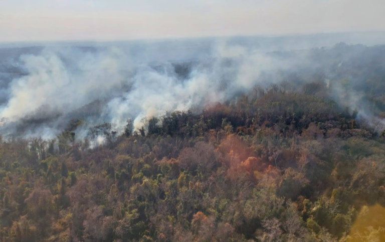 SITE Fim de semana marcado por operação contra incêndio na Flona de Ipanema (SP).png