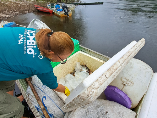 Semana Santa 3_site.png