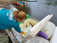 Fiscalização do ICMBio percorre as cinco regiões do Brasil