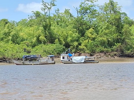Foto: Alessandra Lameira/ESEC Maracá-Jipioca