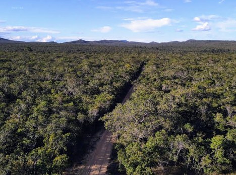 RPPN Auge da Savana - Foto: Acervo