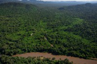 Governo federal lança editais de R$ 79 milhões para restaurar áreas no Arco do Desmatamento