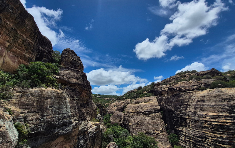 SITEHomenagem reafirma legado científico e social da arqueóloga Niède Guidon na Serra da Capivara.png
