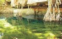 Ponto do surubim, área será conservada para a visitação turística sustentável - Foto: Cristiano Ferreira/ICMBio