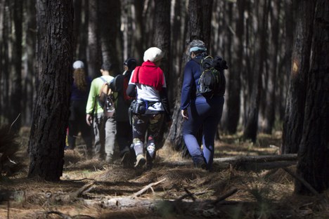 Trilha na Floresta Nacional de Brasília - Foto: Bruno Bimbato