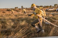 ICMBio apresenta 40 trabalhos sobre fogo no Wildfire