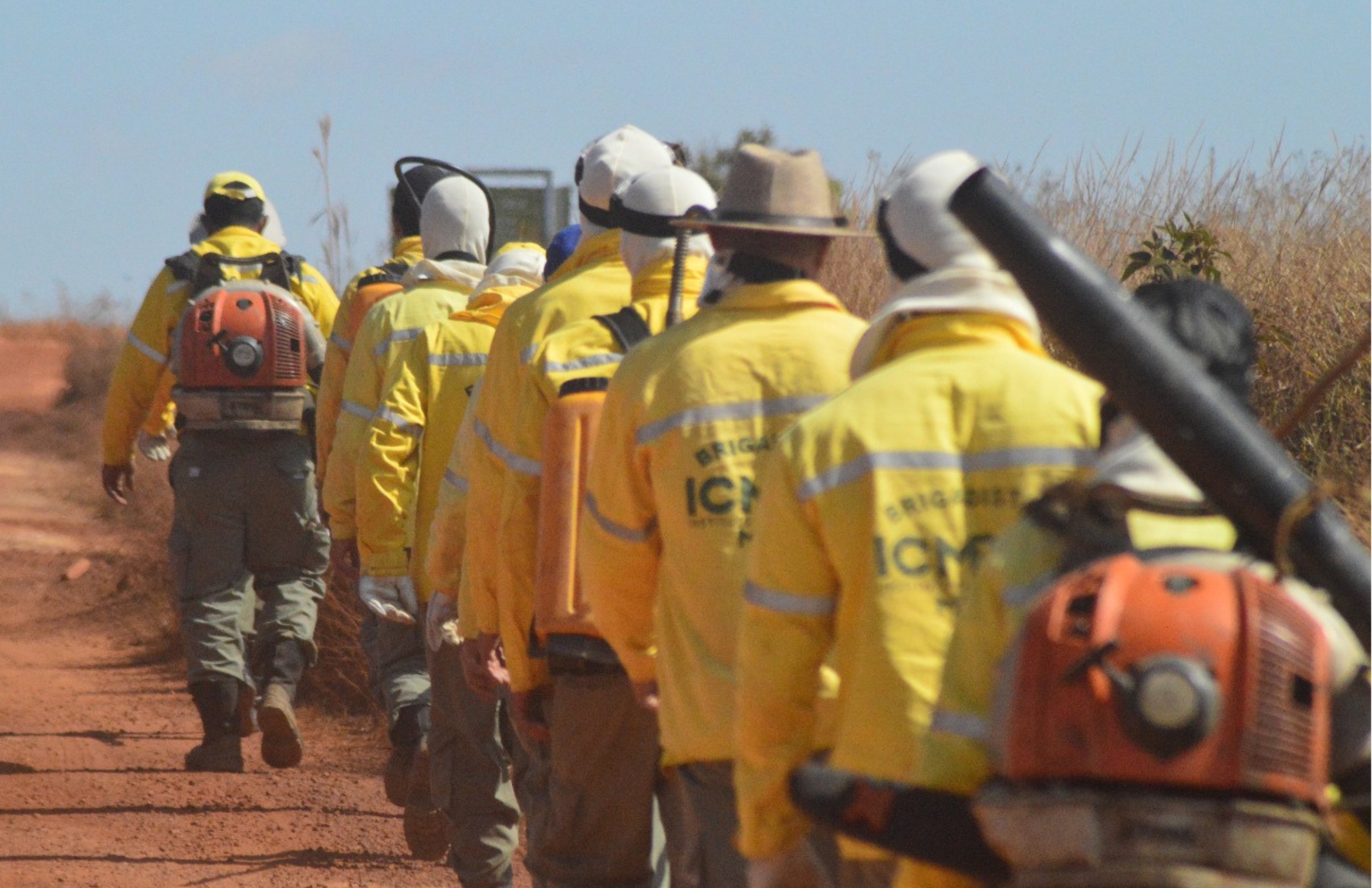 Formação de brigadistas reforça a gestão do fogo e aproxima comunidades das Unidades de Conservação. Apenas em 2025, o Instituto realizou 81 cursos em diversas localidades