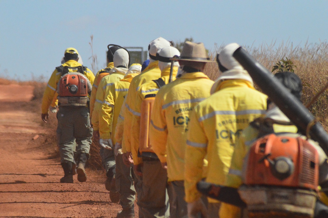 Formação de brigadistas reforça a gestão do fogo e aproxima comunidades das Unidades de Conservação. Apenas em 2025, o Instituto realizou 81 cursos em diversas localidades