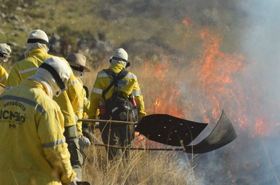 Foto: Divulgação/ICMBio 