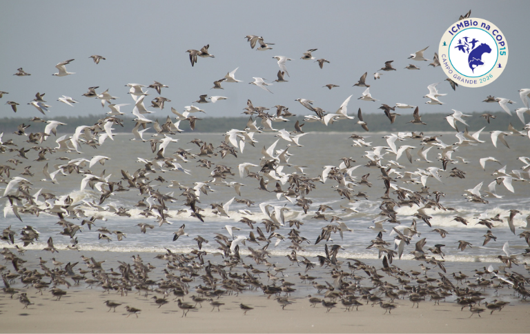 SITEICMBio consolida base científica para atuação do Brasil na COP15 de Espécies Migratóriasselo.png
