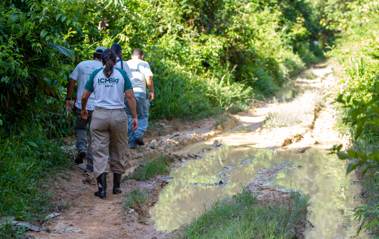 parna_montanhasdotumucumaque_Bruno Bimbato-108_banner.png