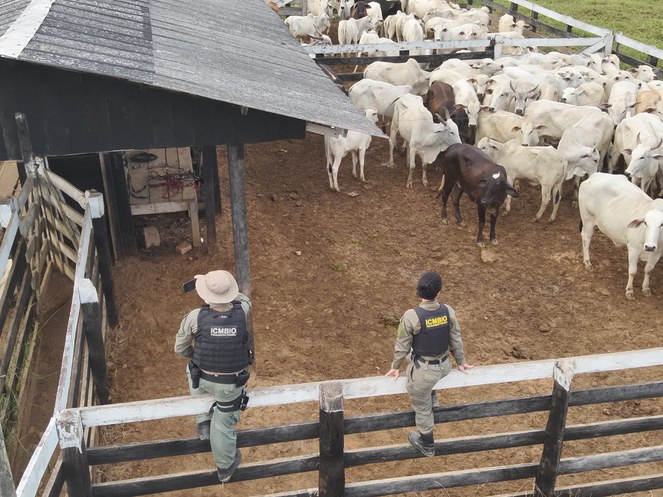 WhatsApp Image 2025-06-14 at 16.12.25.jpeg