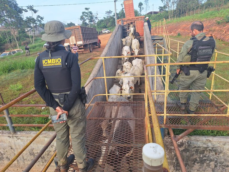 WhatsApp Image 2025-06-15 at 16.14.21.jpeg