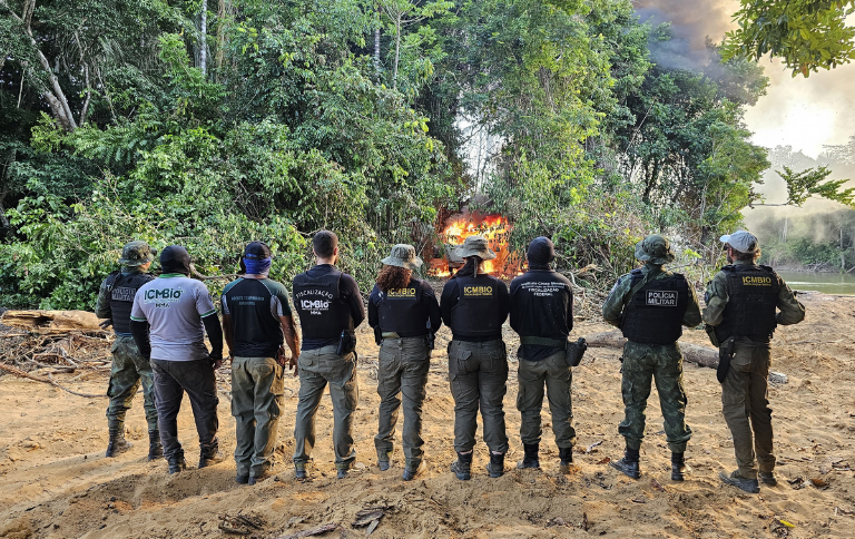 Ações em diferentes territórios protegidos no Amazonas e no Pará interrompem extração ilegal e causam prejuízos milionários a criminosos ambientais