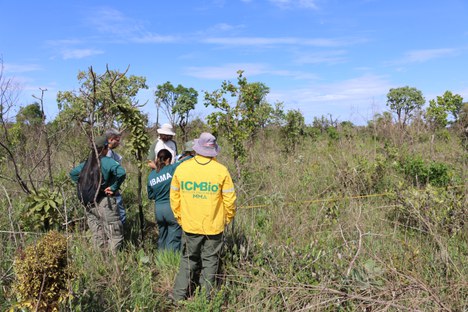 Aplicação do protocolo em ambiente campestre no Parque Nacional de Brasília. Foto: Rogério da Cruz Sant’Ana /CBC