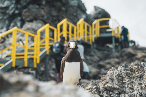 O arquipélago se destaca como local único para o surgimento de novas espécies de vida marinha - Foto: Marcos Tito 