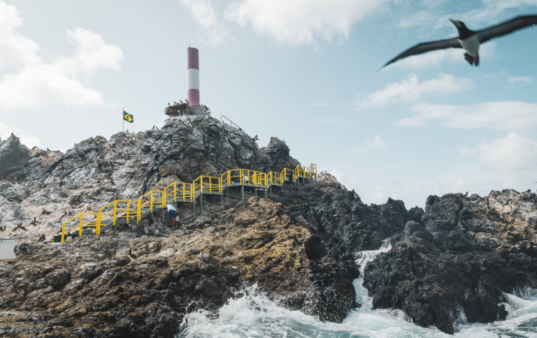 SITEICMBio e Marinha iniciam construção.png