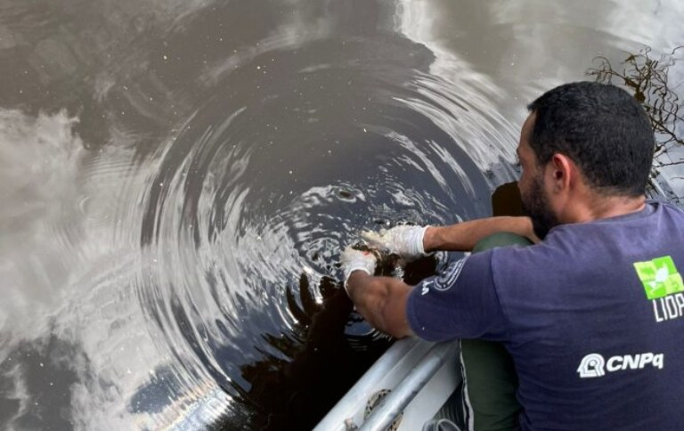 96c7c8cd-d137-4abe-bea7-8ddd4f5b648b site.jpg