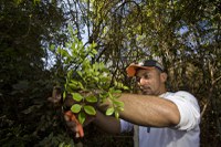 ICMBio lança Guia para manejo florestal comunitário