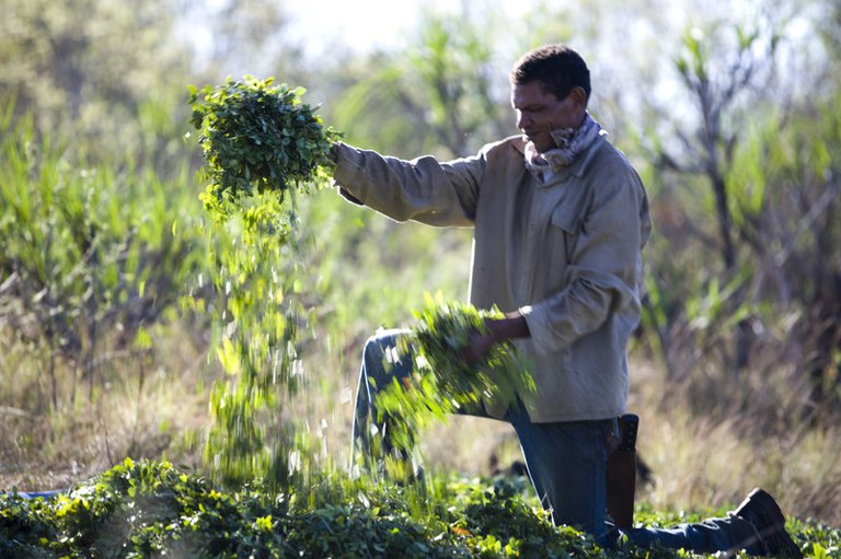 011_flona_carajas_João Marcos Rosa©.jpg